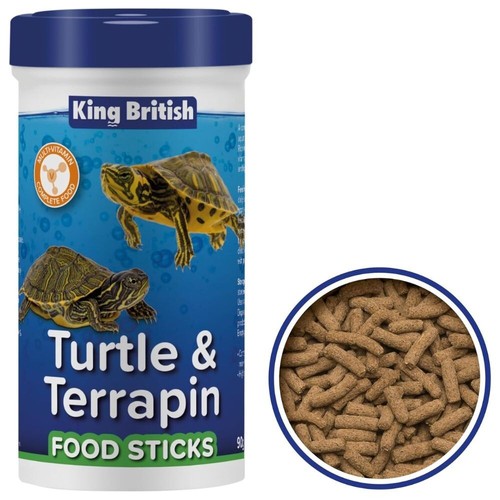 King british turtle terrapin - king,
