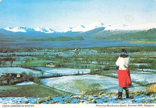 D142751 Loch Lomond in Winter