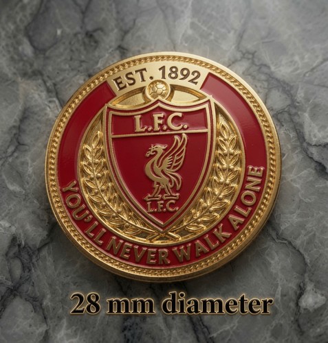 Liverpool pin badge - fc,