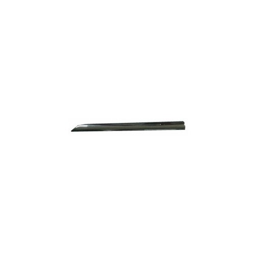 Front door moulding chrome - front,