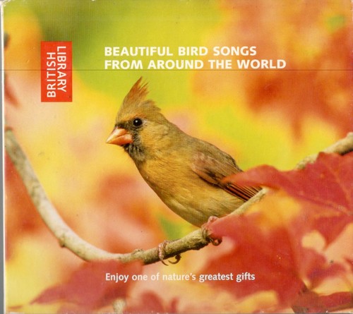 Beuatiful bird songs from - bird,