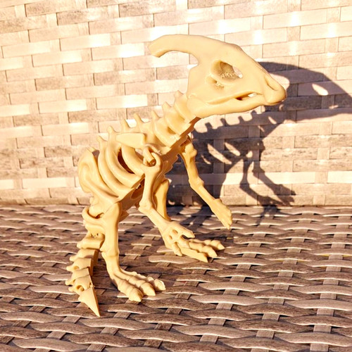 Dinosaur skeleton action - dinosaur,