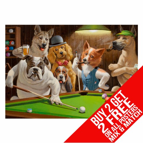 The hustler bb1 dogs playing - the,