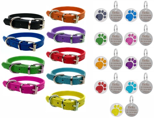 Vibrant leather dog - leather, for