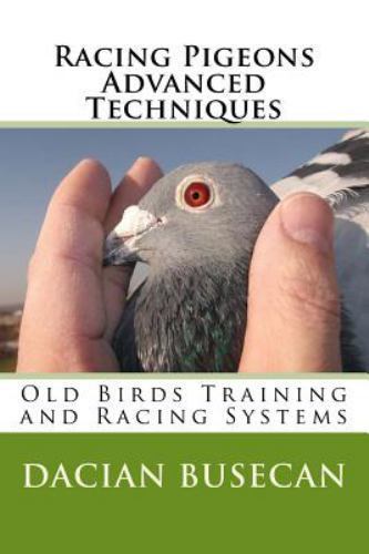 Racing pigeons advanced - racing,