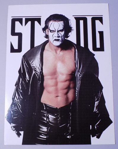 2001 wwf wrestlemania - 2001,