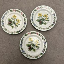 Royal Worcester Herbs Tea