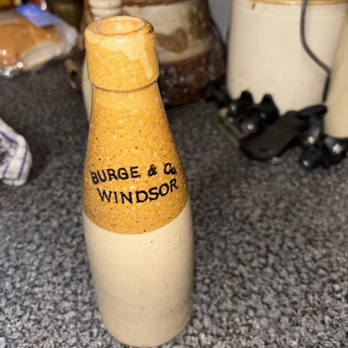 Burge windsor ginger - ,