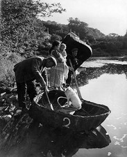 Willow hazel rods are bent