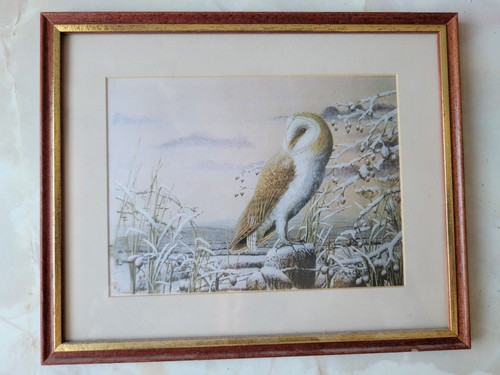 Mark chester winter owl - mark,