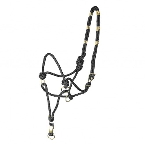 The nice halter training - be,