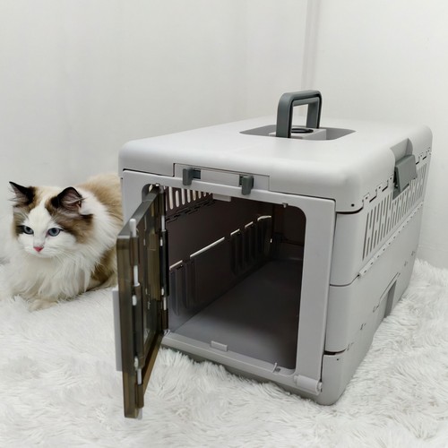 Portable plastic cat carrier - cat,