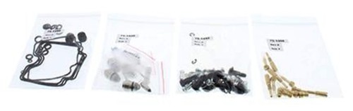 Carburetor rebuild kit - rebuild,