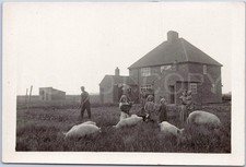 RPPC Vintage Postcard Family