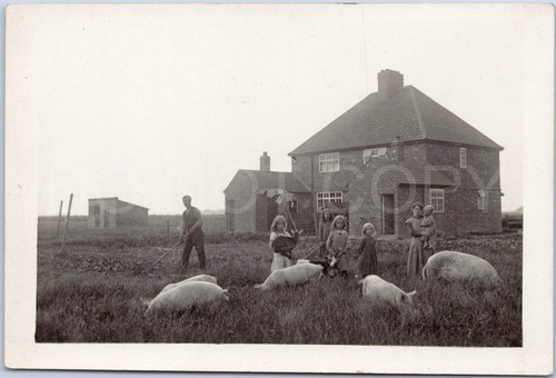 Rare rppc postcard family - rare,