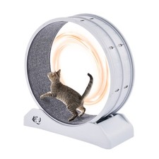 Cat Exercise Wheel 31.5 in