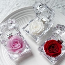 Eternal Flower Preserved Rose