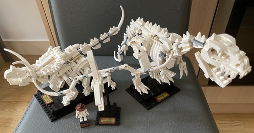Lego ideas dinosaur fossils - lego,