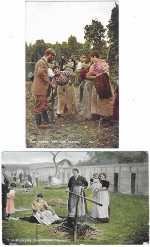 Rural c1910 two hop picking - rural,