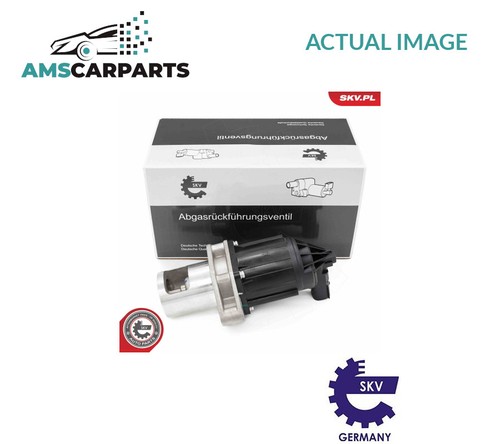 Exhaust gas recirculation - gas,