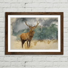 Red Deer Stag Watercolour