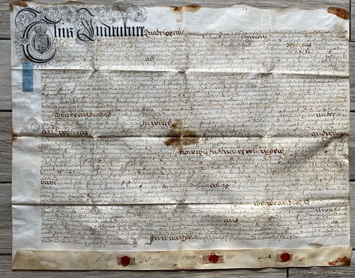 1702 queen anne vellum - queen,