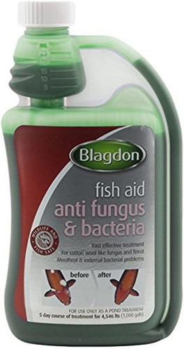 Blagdon fast acting - blagdon,