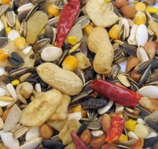 1 KILO TROPICAL PARROT  BIRD