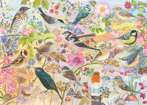 Birds the seasons - of,