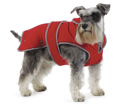 Ancol muddy paws - muddy, stormguard