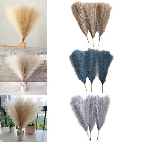 3pcs dried pampas grass - pampas,
