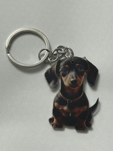 Dachshund sausage dog acrylic - sausage,