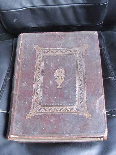 Welsh language family - welsh, bible