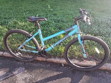 Ladies Falcon Paradox 17inch