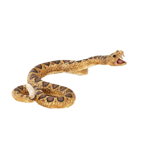 Mojo rattlesnake wild zoo - rattlesnake,