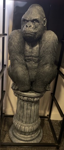 Silver back gorilla - -,