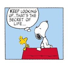 Snoopy Peanuts Greeting Card