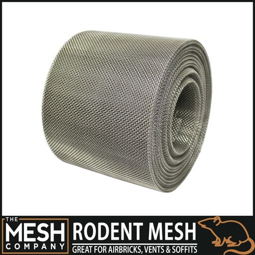 The mesh company animal - mesh, rodent