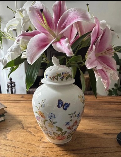 Aynsley vase ginger jar - aynsley,