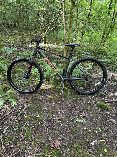 Whyte 605