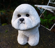 Sandicast Bichon Frise White