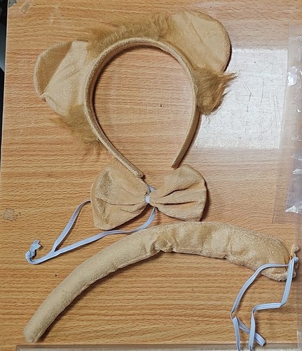 Kids lion fancy - dress, set