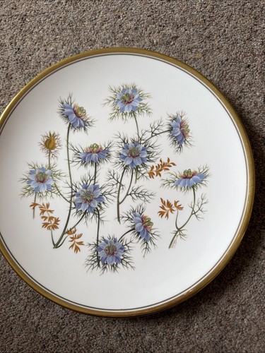 Spode wild flowers love - spode,