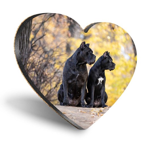 Heart mdf coaster cane - mdf, corso