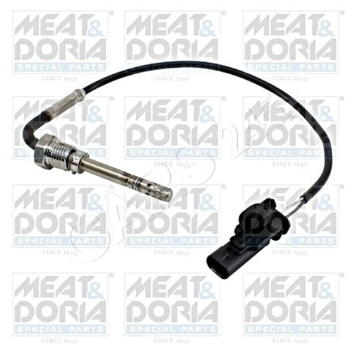 Exhaust gas temperature - temperature, sensor