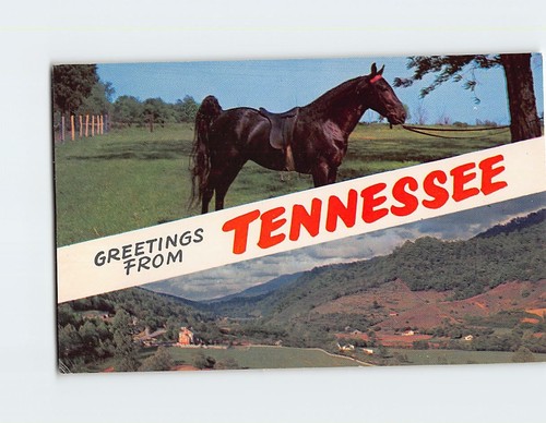 Postcard tennessee walking - tennessee,