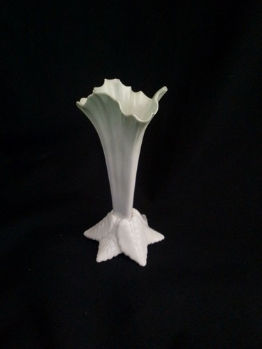 Antique royal worcester - antique,,
