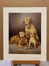 Nigel Hemming - Generations Yellow Labradors (Print Only) - In Stock
