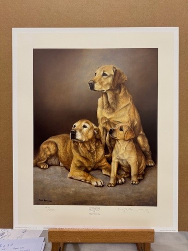 Nigel hemming generations - nigel,