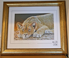 Stephen Gayford "Golden" Lion